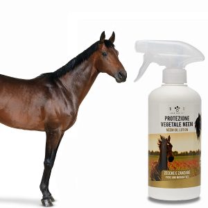 Los mejores accesorios para el cuidado del caballo